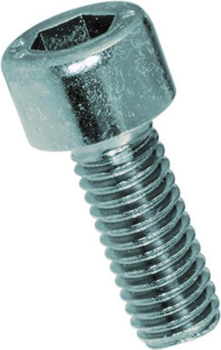 Actual product image Werkstarck Metal screws cylinder head (100 Screws per piece)