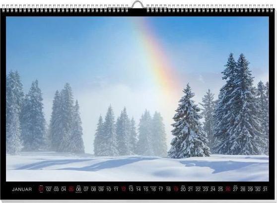 Actual product image Rainbow Premium Calendar 2025 (60 x 42 cm, German)