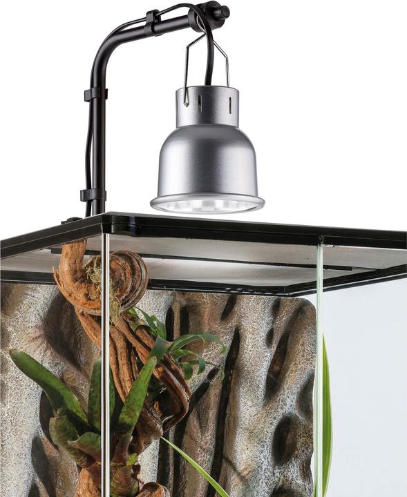 Immagine prodotto Exo Terra Cupola per rettili NANO Ø 10 cm con supporto (UVB)