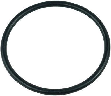 Actual product image Aquatuning O-ring for Laing D5/Alphacool VPP655/Swiftech MCP655