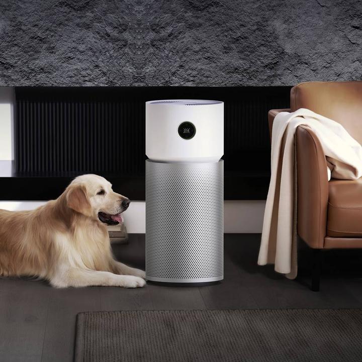 Actual product image Xiaomi Y-600 (125 m²)