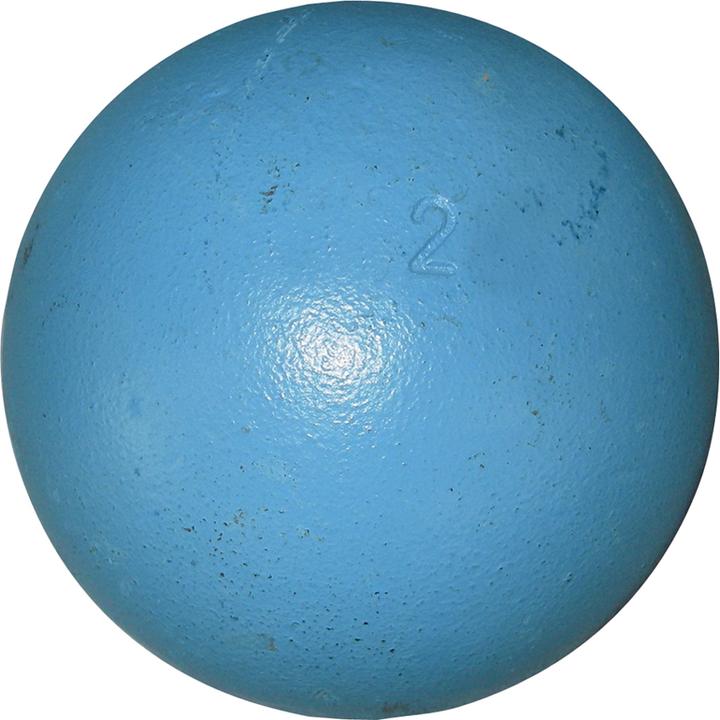 Huspo Training (2000 g)