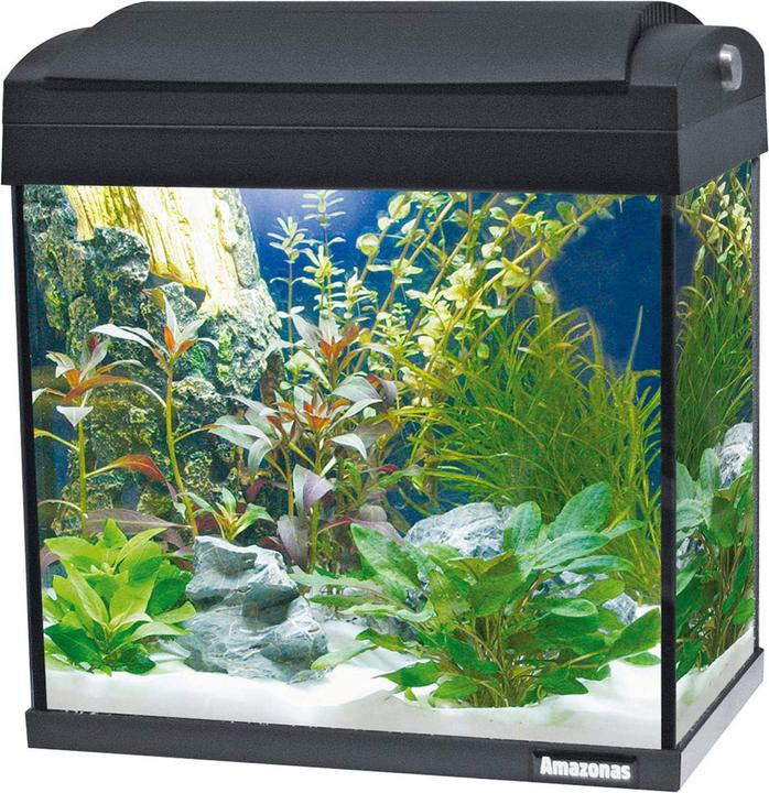 Produktbild Amazonas F31 (24 l)