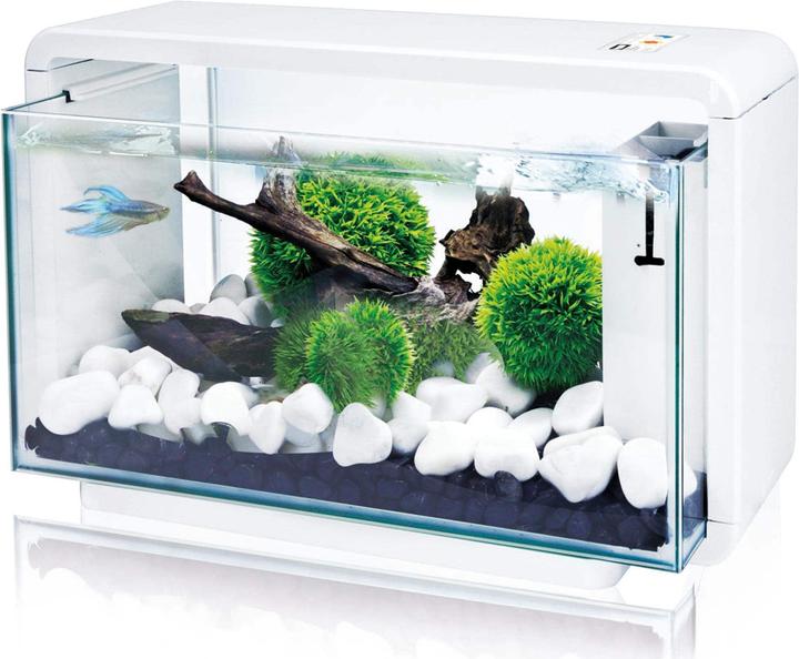 Immagine prodotto Amazonas Acquario E-25 25l bianco (25 l)