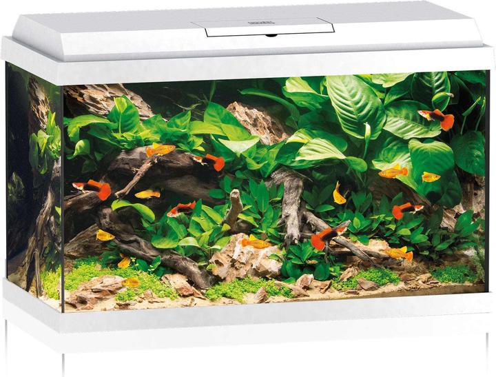 Immagine prodotto Juwel Aquarium Acquario Primo 70 LED bianco (70 l)