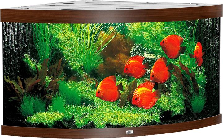 Immagine prodotto Juwel Aquarium Acquario Trigon 350 123x87x65cm marrone scuro (350 l)