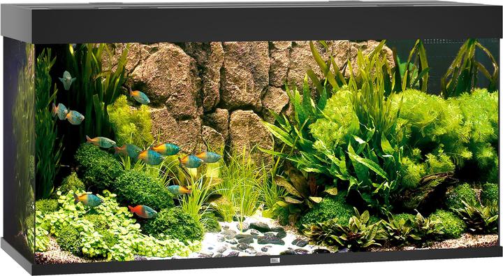 Juwel Aquarium Rio (350 l)