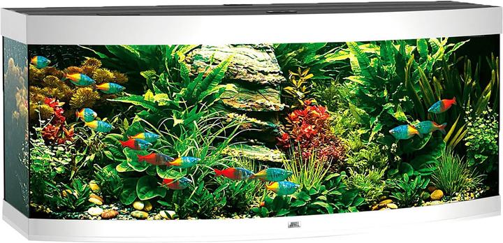 Actual product image Juwel Aquarium Vision 450 (450 l)