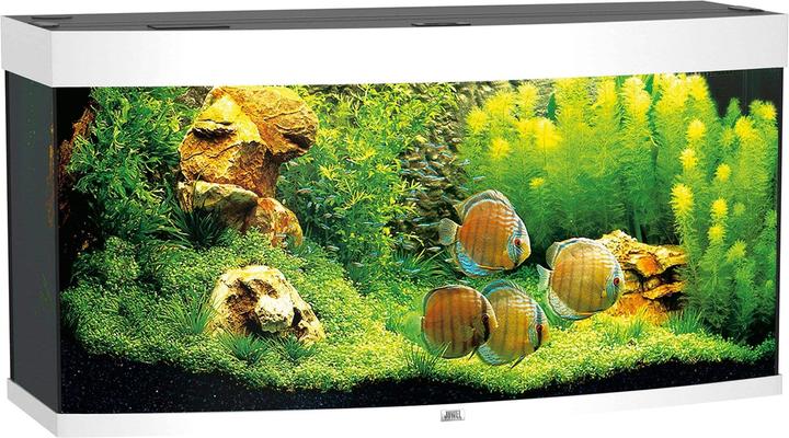 Image du produit Juwel Aquarium Vision 260 Aquarium 121x46x62cm blanc (260 l)