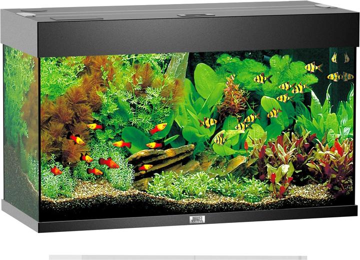 Juwel Aquarium Rio (125 l)