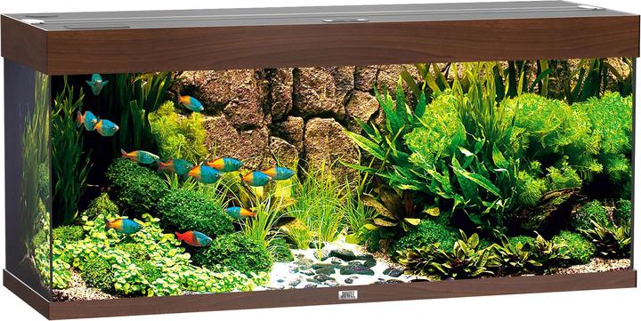 Juwel Aquarium Rio (240 l)