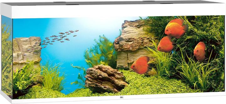 Juwel Aquarium Rio (450 l)