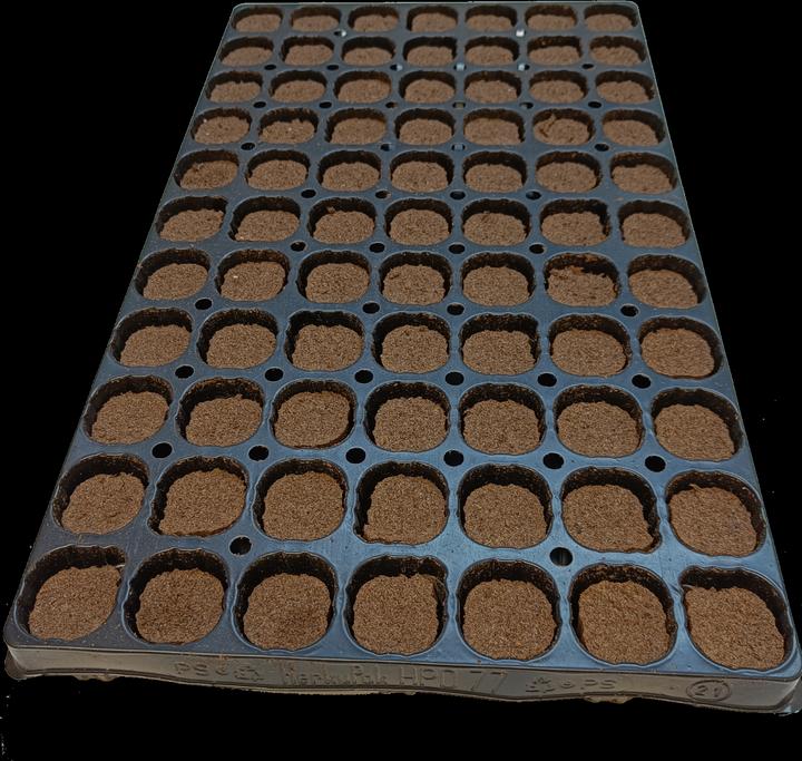 Produktbild Lime Plug Tray mit 77 Stk. ohne Loch