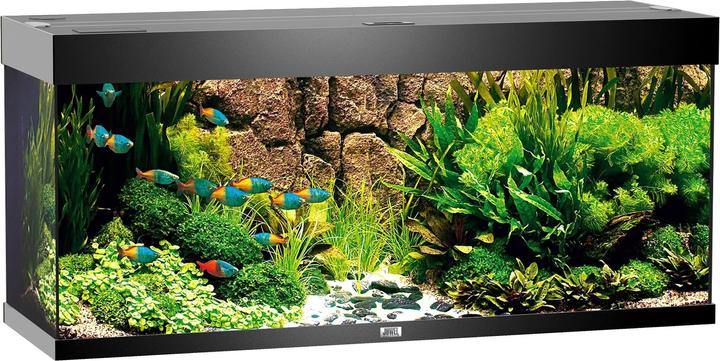 Image du produit Juwel Aquarium Rio (240 l)