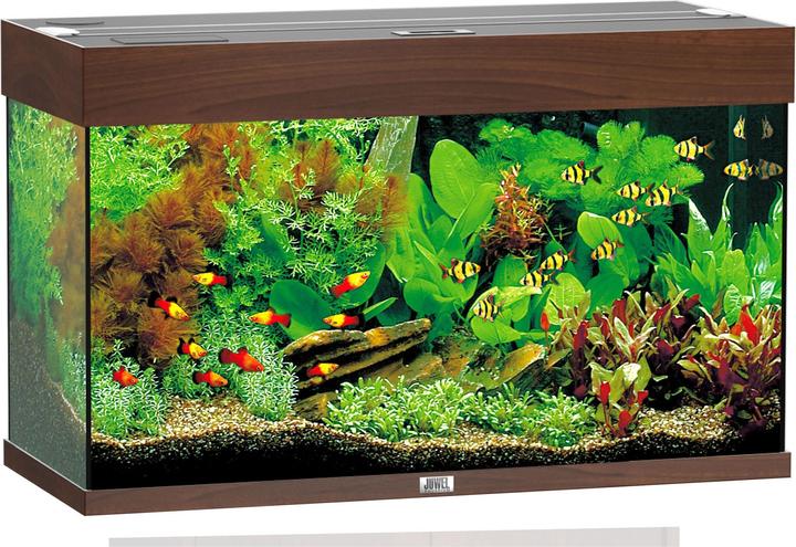 Immagine prodotto Juwel Aquarium Rio (125 l)