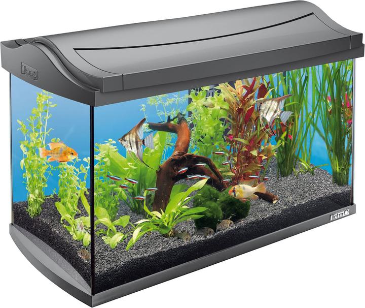 Produktbild Tetra AquaArt Aquarium-Set Tropical 60l (60 l)