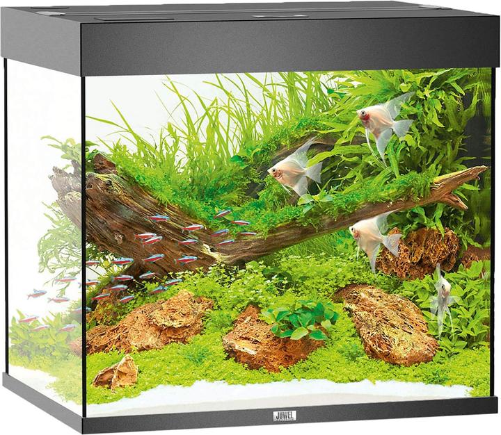 Actual product image Juwel Aquarium Aquarium Lido 200 70x51x65cm black (200 l)