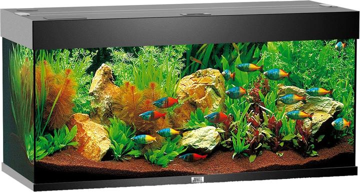 Actual product image Juwel Aquarium Rio (180 l)