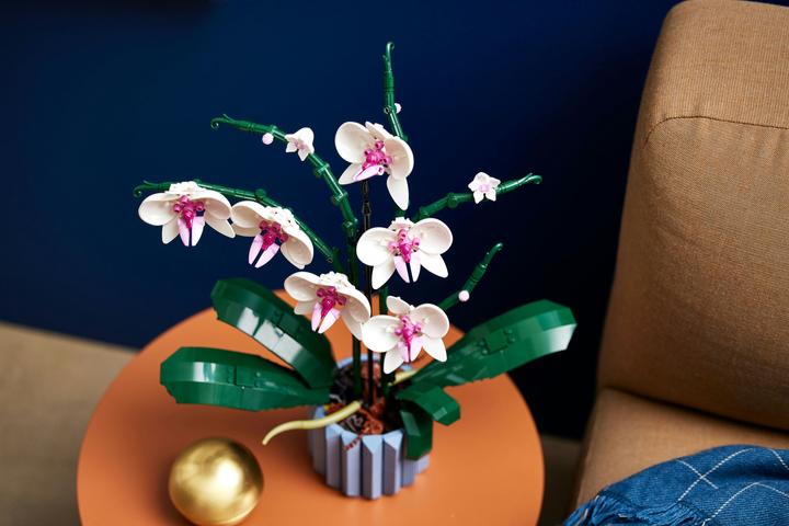 Image du produit LEGO Orchidée (10311, LEGO Botanical)