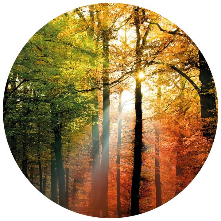 Image du produit Trenddeko Forêt d'automne dorée (Ø 140 cm)