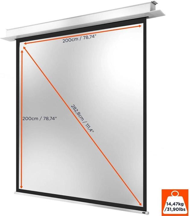 Immagine prodotto Celexon Installazione a soffitto Motore professionale + (111.02", 1:1)