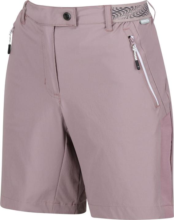 Actual product image Regatta Womens/Ladies Mountain II Shorts (44 D)