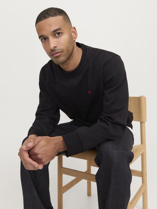 Actual product image Jack & Jones Rddscott Crew Neck Sweat L/S Noos (M)