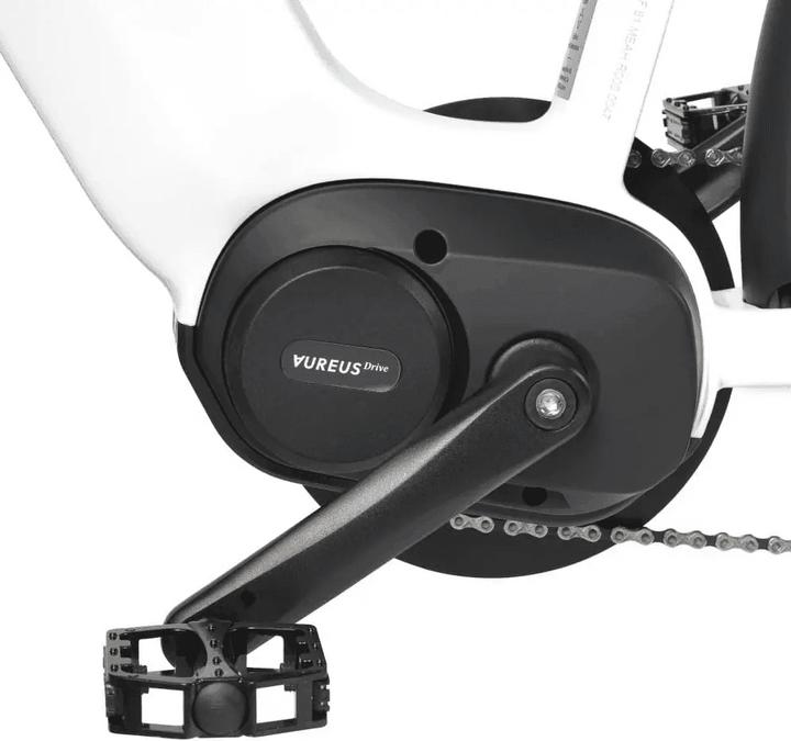 Image du produit AureusDrive DailyDrive S, sand, tube supérieur haut, men, chaîne