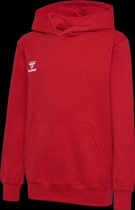 Actual product image hummel HMLGO 2.0 HOODIE KIDS (140)