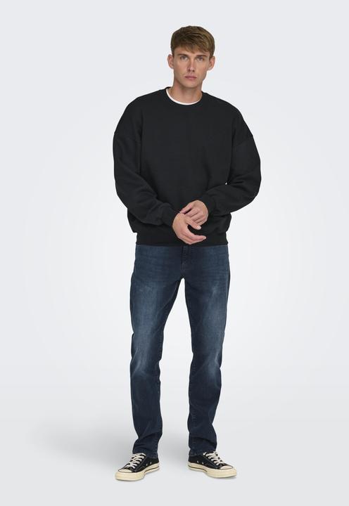 Image du produit Only & Sons Onsturner Life Vtg Crew Neck Sweat Noos (M)