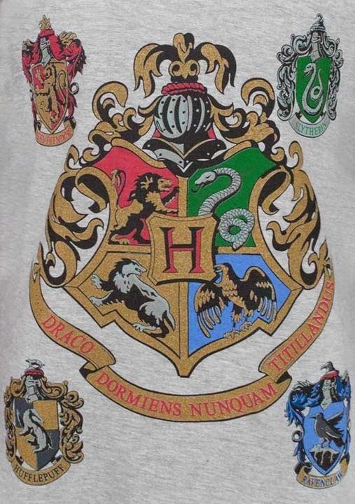 Immagine prodotto Maglietta raglan ufficiale di Hogwarts per ragazze (116)