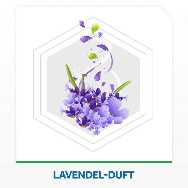 Actual product image Raid Scented cushion lavender