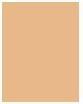Actual product image Clarins Everlasting Foundation (No.110.5W Tawny)