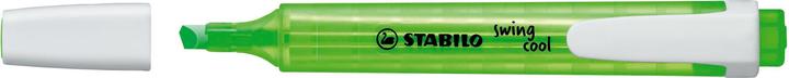 Immagine prodotto STABILO evidenziatore swing cool (Verde, 1 mm, 1 x)