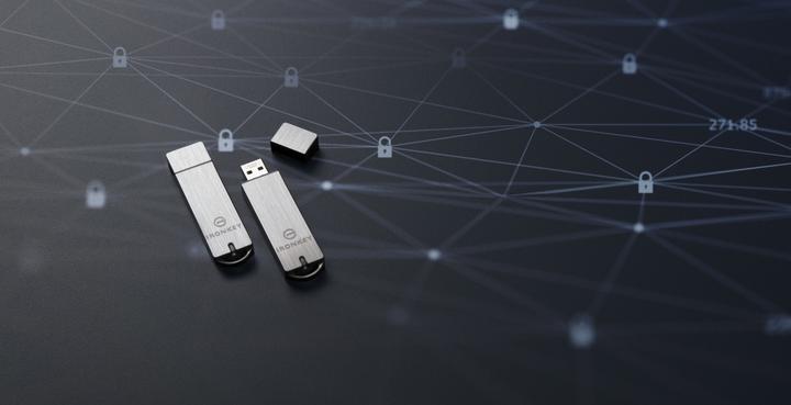 Immagine prodotto Kingston IronKey S1000 Enterprise (16 GB, USB-A, USB 3.0)
