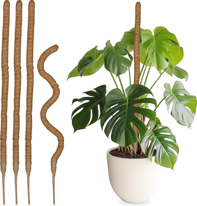 Produktbild Relaxdays Kokosstäbe (3 cm, 3 cm)