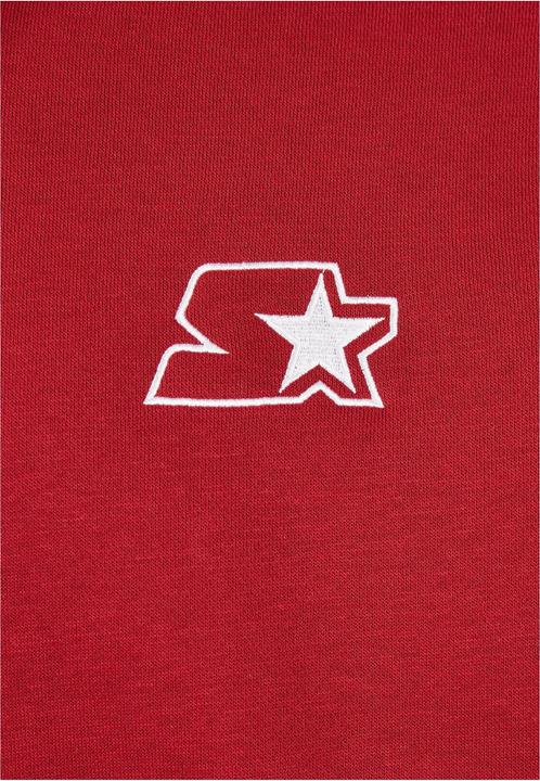 Actual product image Starter Small Logo Hoody (S)