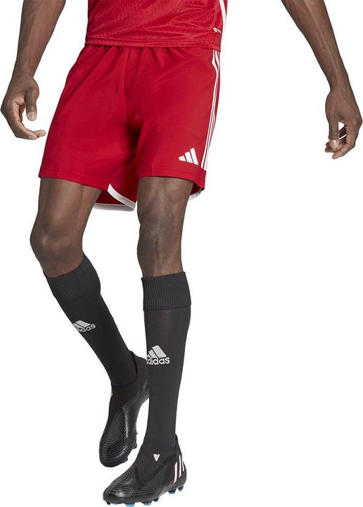 Actual product image adidas Tiro 23 Competition Match training shorts men (XL)