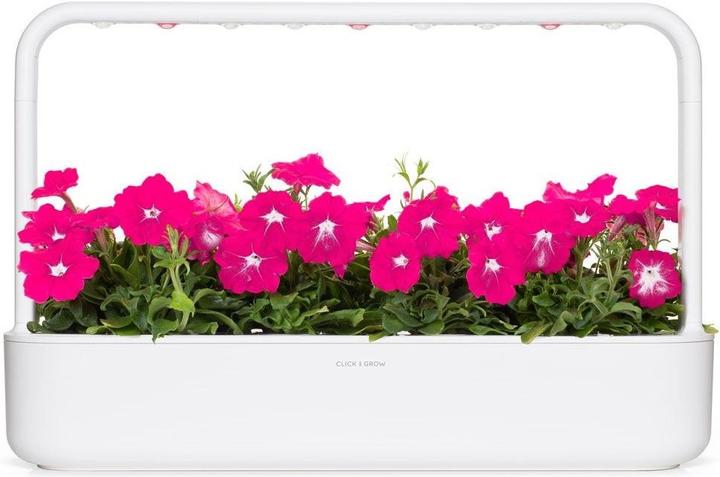 Image du produit Click and Grow Semences de pétunia rose, paquet de 3 (Graines de plantes)