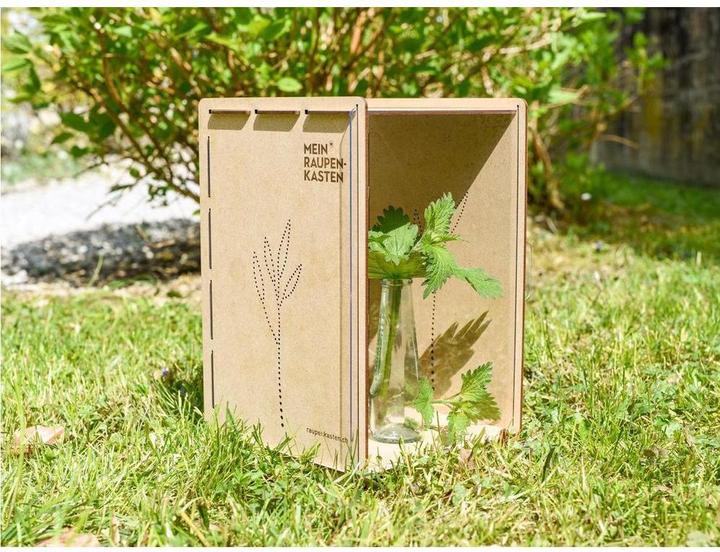 Immagine prodotto Mein Raupenkasten Insetto hotel caterpillar box (Farfalle)