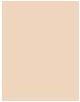 Actual product image Sisley Stylo Correct No 0 (Beige)