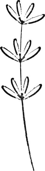 Image du produit Artoz Tampon Fleur