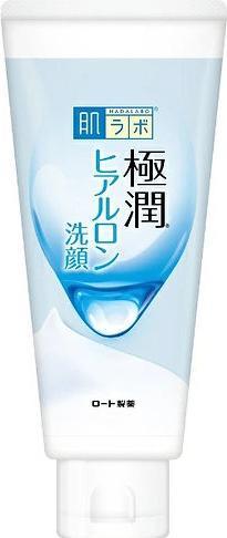 Hada Labo Gokujun Hyaluronic Face Wash 100g (Schaum)