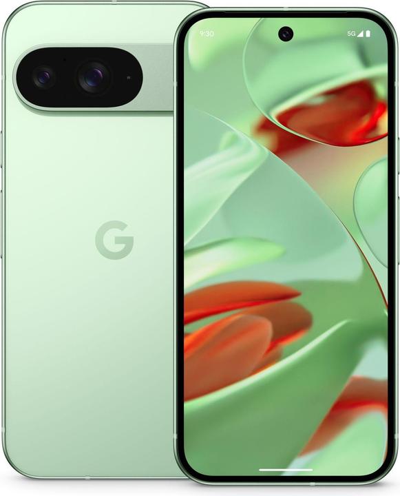 Google Pixel 9 (128 GB, Wintergreen, 6.30", Dual SIM, 50 Mpx, 5G)