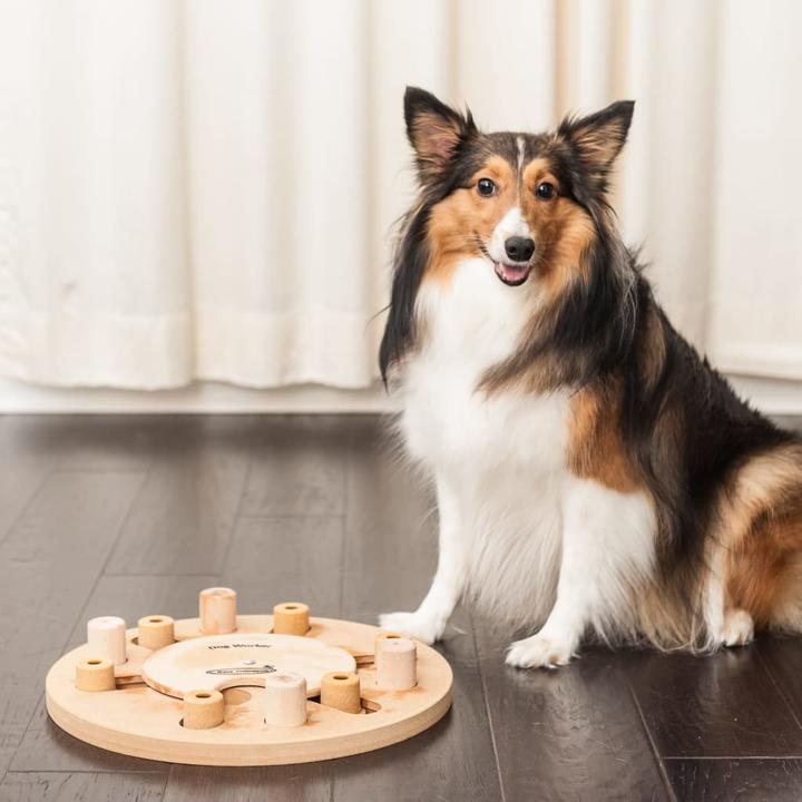 Actual product image Nina Ottosson Nina Ottoson Dog Worker Composite