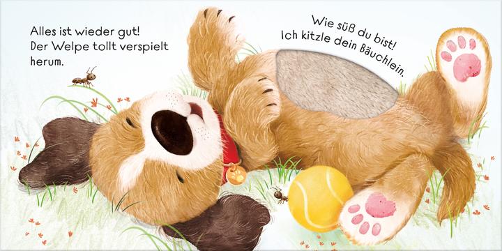 Produktbild Mein Alles-wieder-gut-Streichelbuch: Ich tröste dich, kleiner Hund! (Deutsch)
