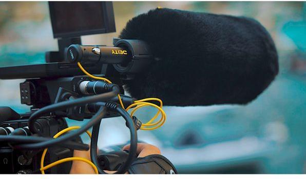 Produktbild Deity S-Mic 3