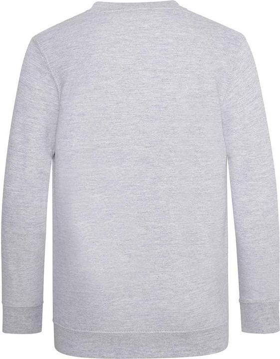Image du produit Awdis - Sweat ACADEMY - Enfant (146, 152)