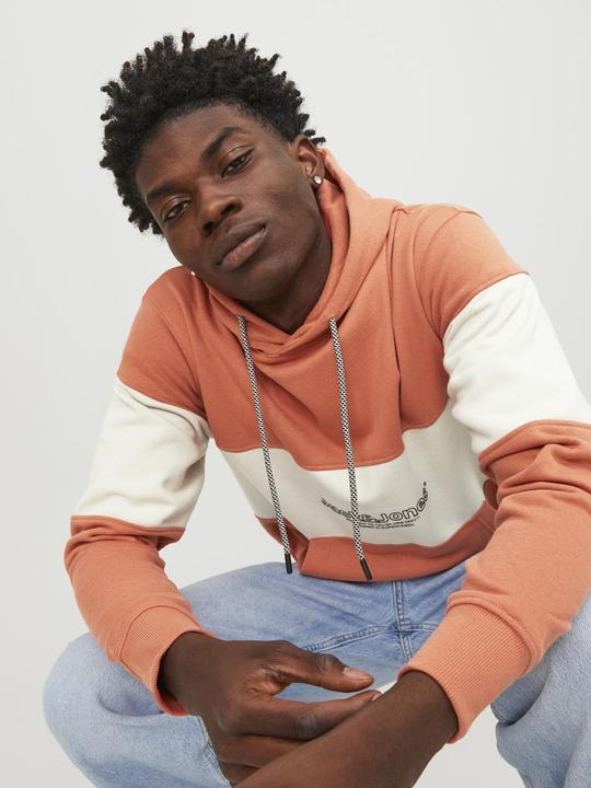 Produktbild Jack & Jones Sweat Hoodie (L)