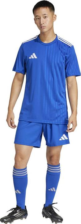 Actual product image adidas Tastigo25 Short (L)